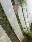 户外石阶旁的绿植景象