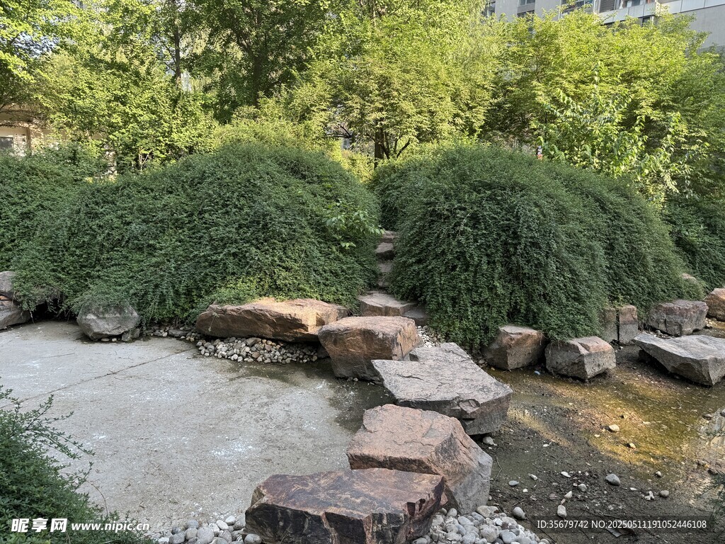 溪边石径 绿意盎然景致