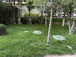 林间草地圆形汀步景观