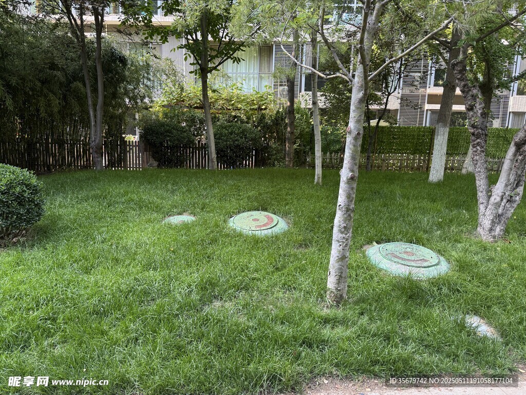 林间草地圆形汀步景观