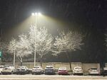 大雪