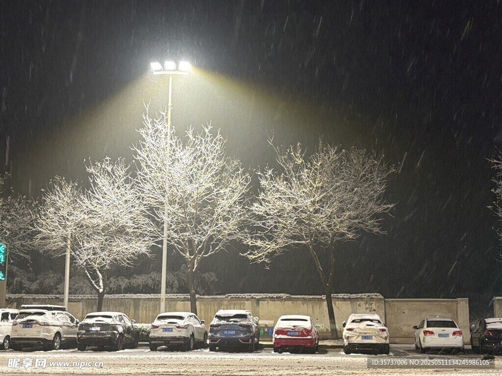 大雪