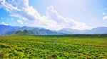 积石山黄草坪