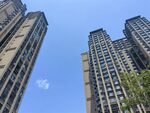 城市高楼景观