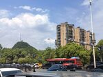 城市街景中的建筑与车辆