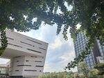 现代建筑与绿树相映成趣
