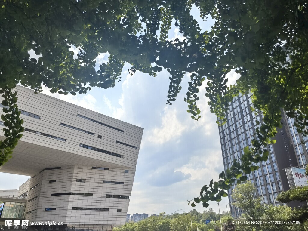 现代建筑与绿树相映成趣