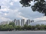 城市高楼与绿树景观