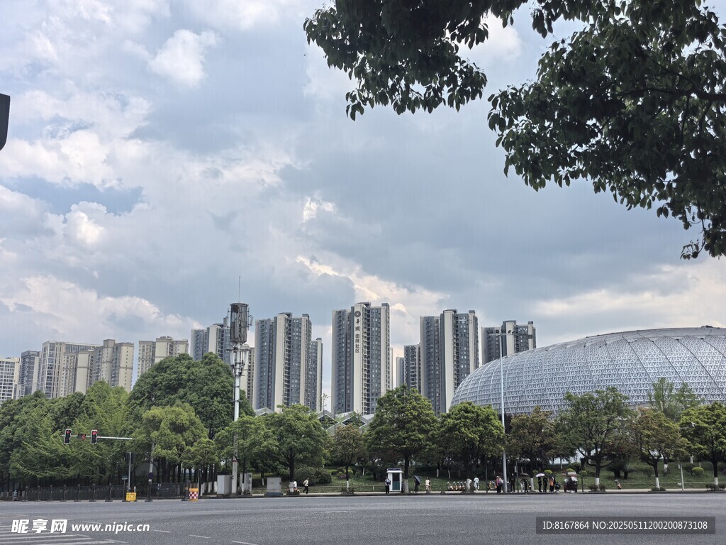 城市高楼与绿树景观