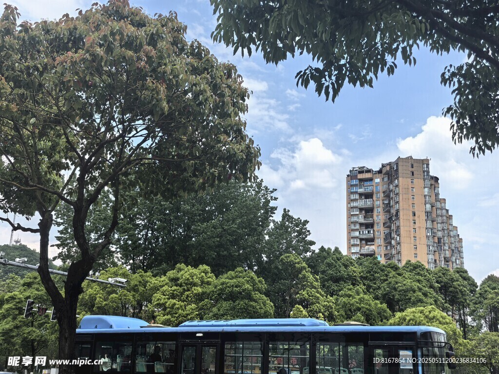 绿树环绕的蓝色公交站点