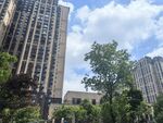 城市高楼与绿树景观