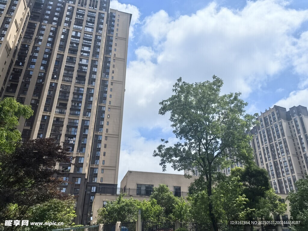 城市高楼与绿树景观