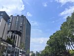 城市高楼与绿树相映成趣