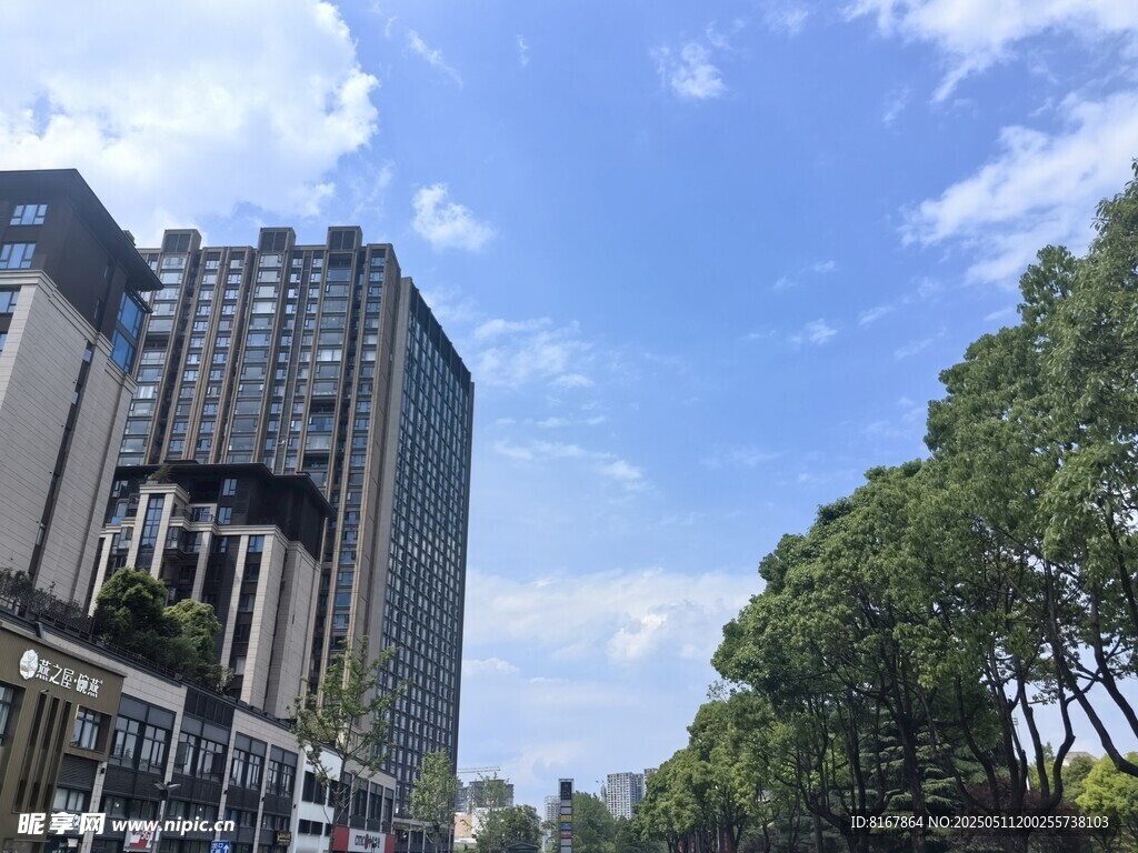 城市高楼与绿树相映成趣