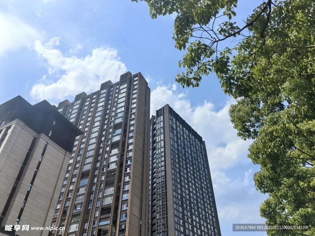 城市高楼与绿树相映成趣