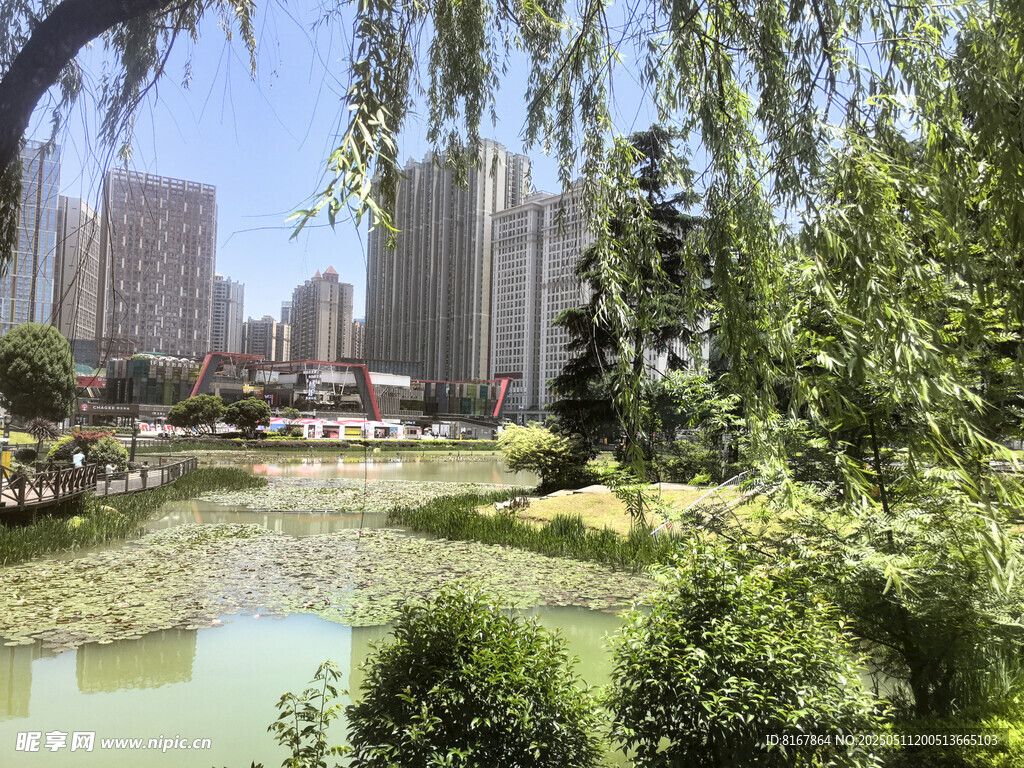 城市中的静谧湖畔风光