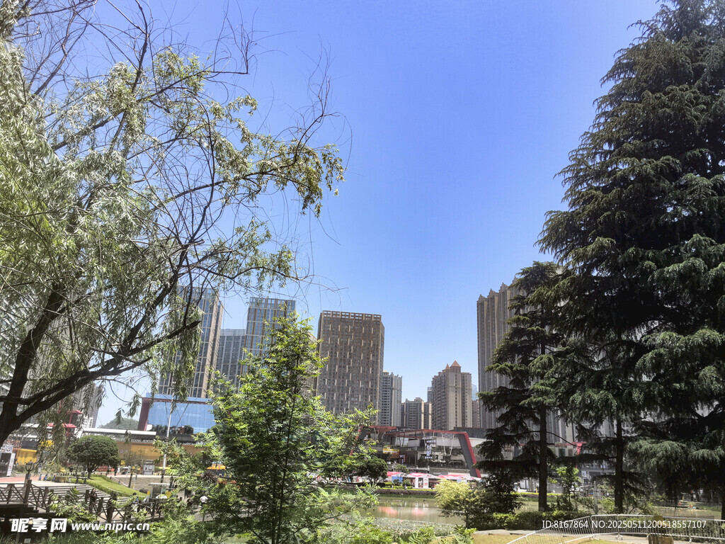 城市绿荫下的天际线景观