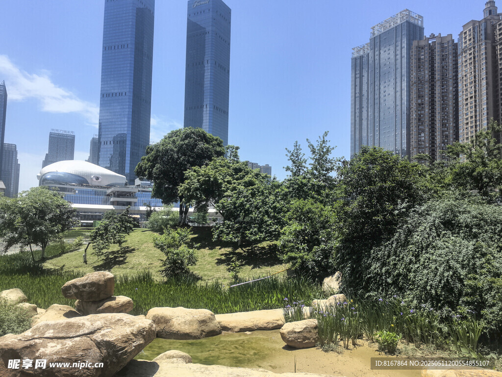 都市中的静谧园林景观