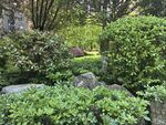 静谧绿植花园景观