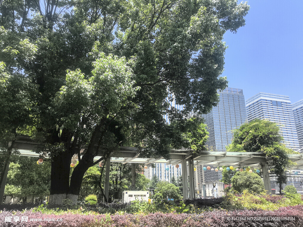 城市中繁茂大树与缤纷花卉