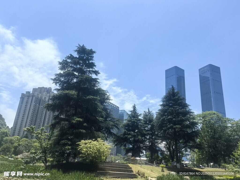 城市中葱郁树木与高楼景观
