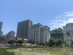 城市高楼与开阔绿地景观