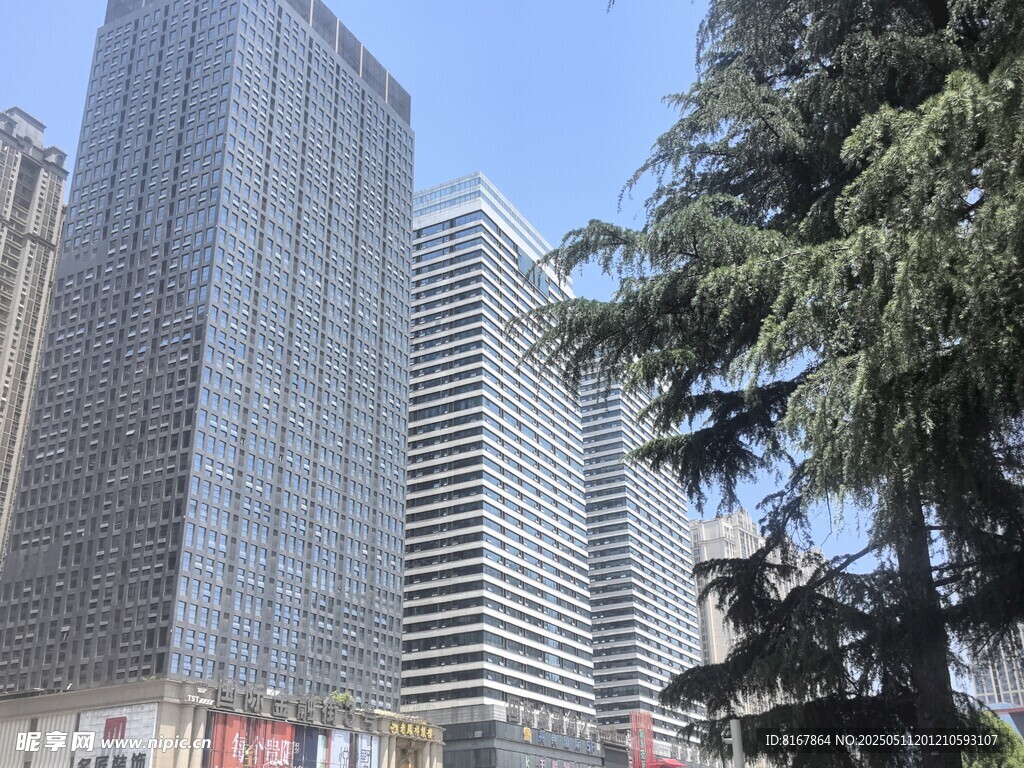 都市高楼与葱郁树木景观