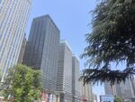 城市高楼与绿树景观