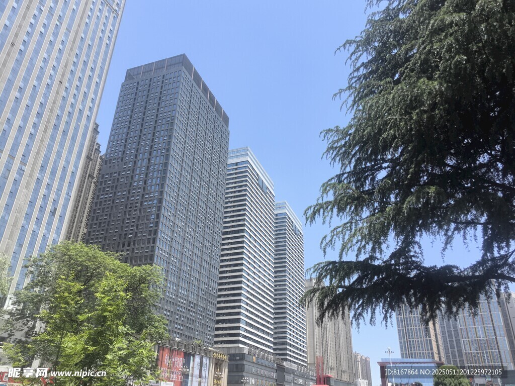 城市高楼与绿树景观