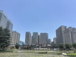 城市高楼与开阔绿地景观