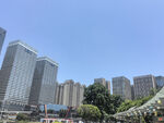 城市高楼景观
