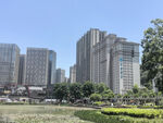 城市高楼与绿地景观