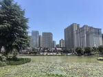 城市中的绿地与高楼景观
