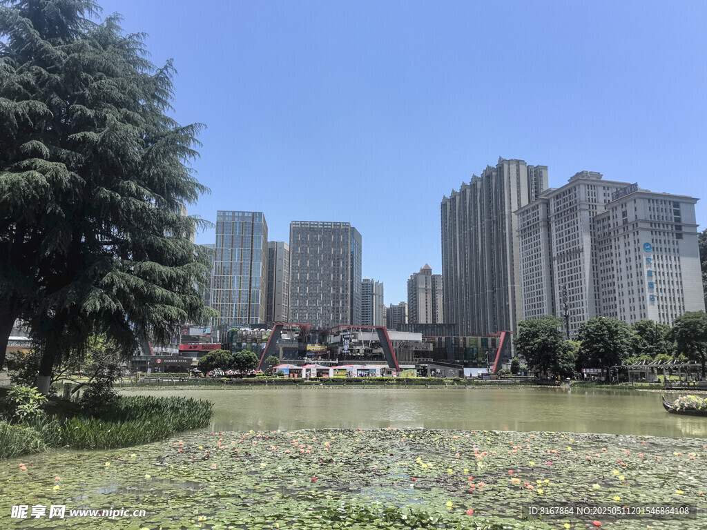 城市中的绿地与高楼景观