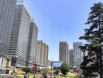 都市高楼与街边绿树景观