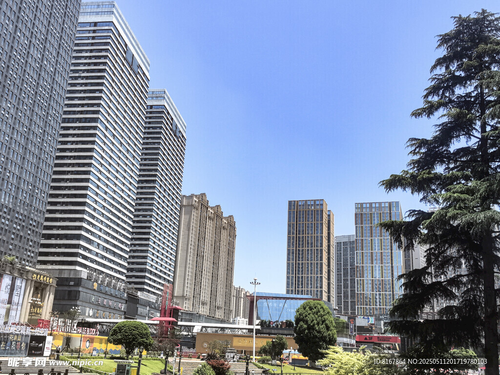 都市高楼与街边绿树景观