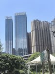 城市高楼与绿植景观