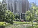 城市中的静谧公园景观