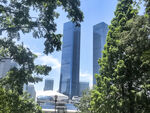 绿树掩映下的城市高楼