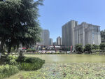 城市湖畔风景