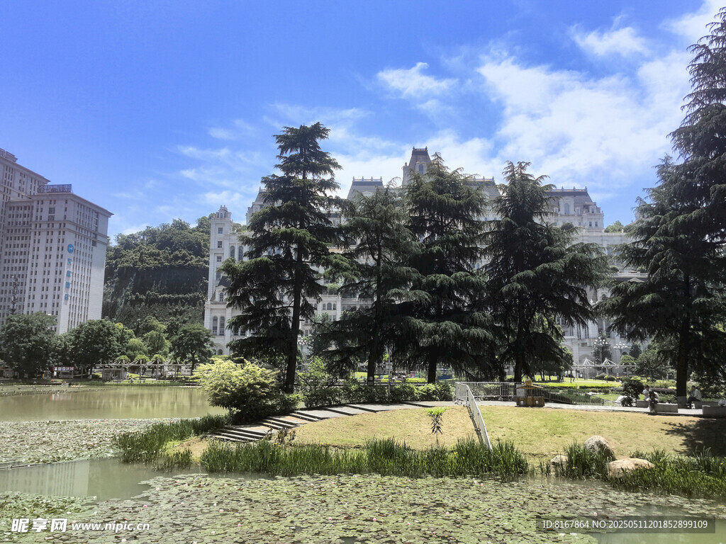 城市中的静谧绿植景观