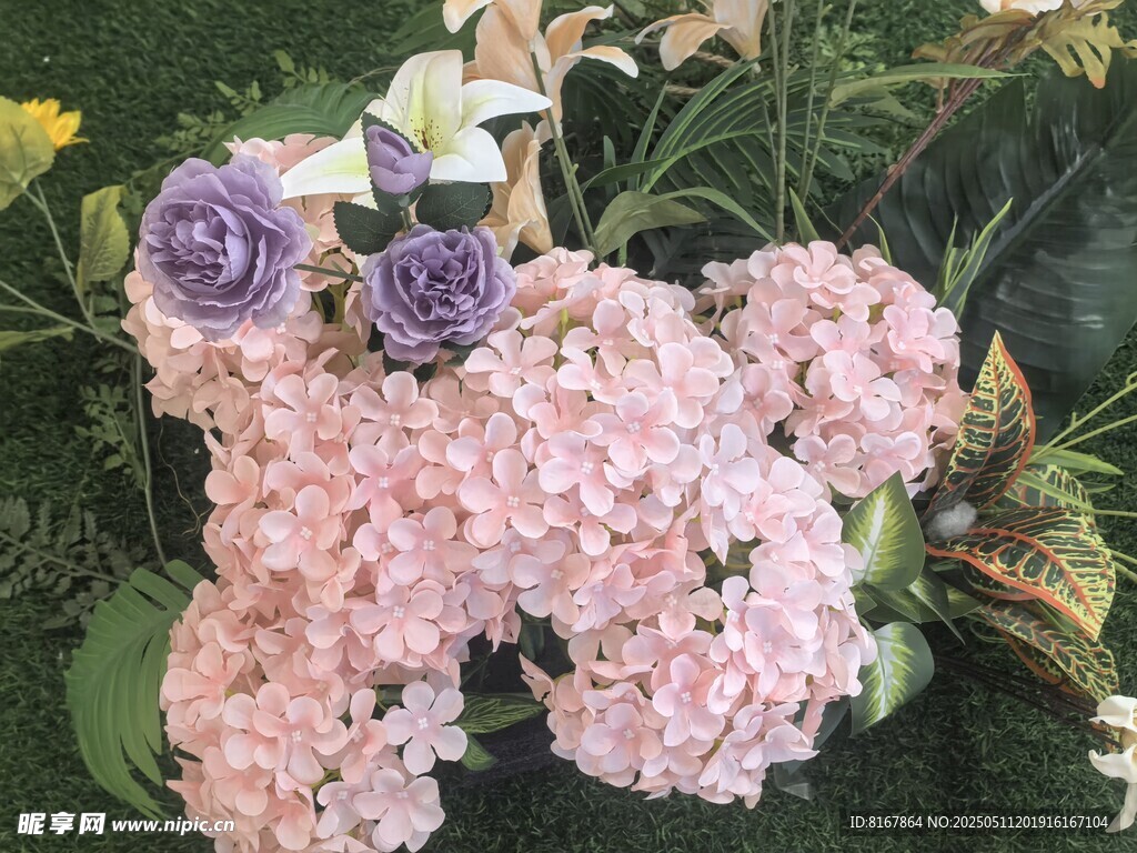 缤纷美丽花卉组合