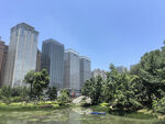 城市中的绿意河畔景观