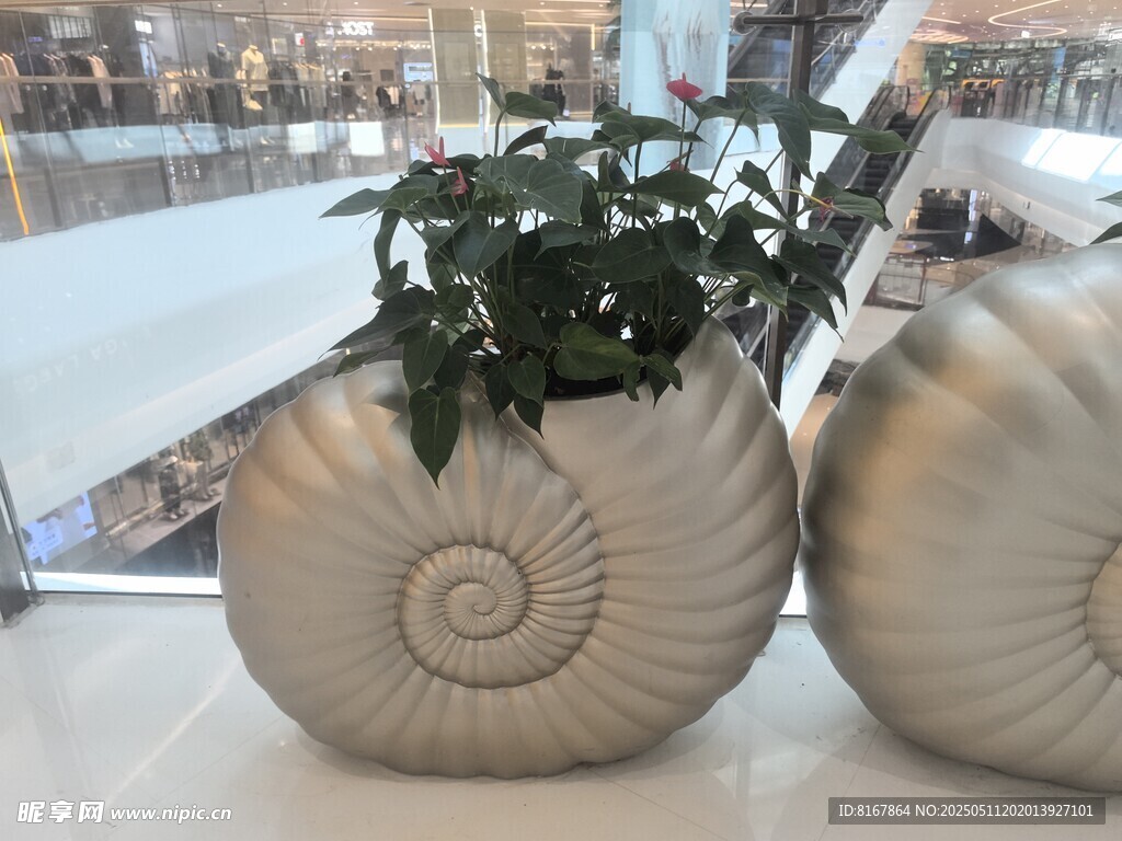 独特海螺造型花盆摆件