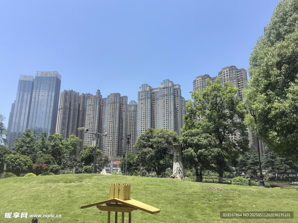 城市绿地旁的高楼景观