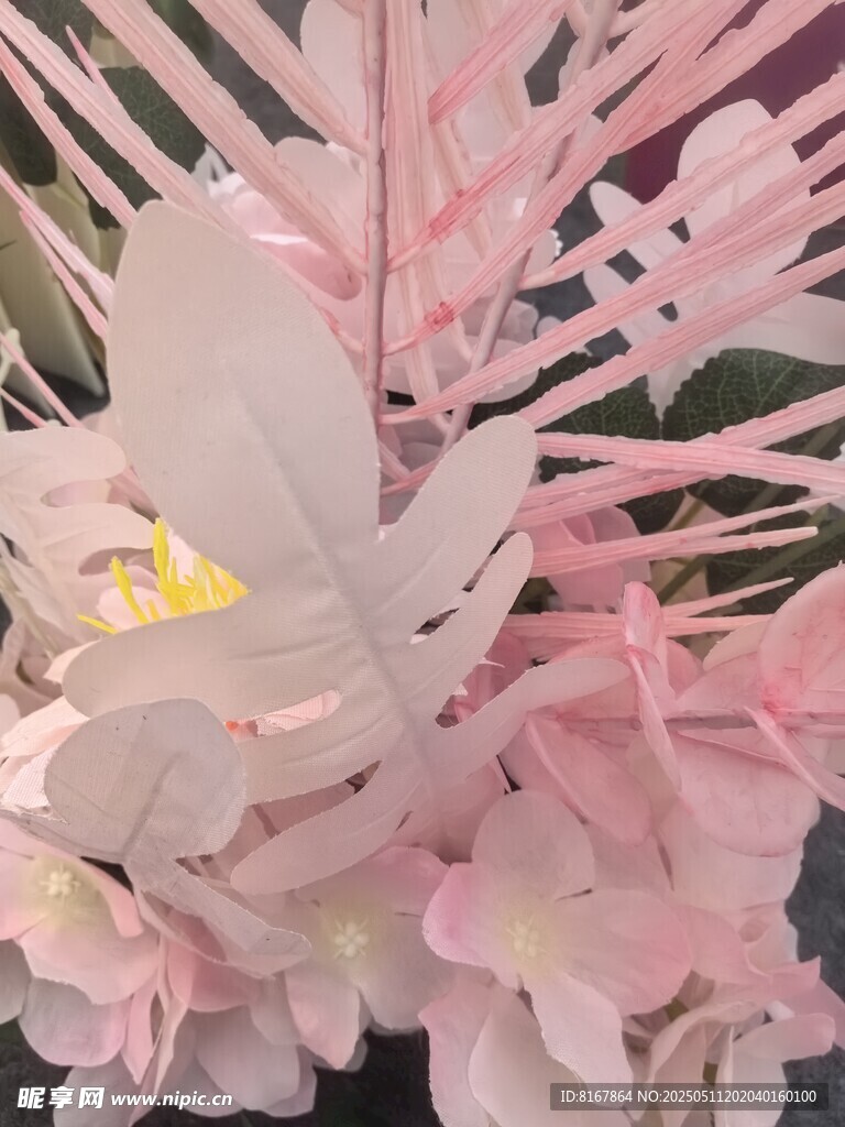 粉色柔美花卉特写