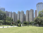 城市中的绿地与高楼景观