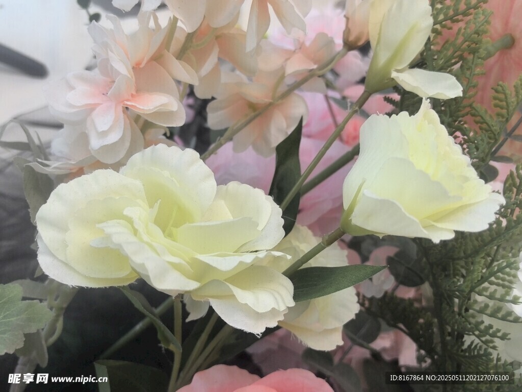 清新柔美花卉组合