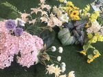 缤纷花卉组合展示