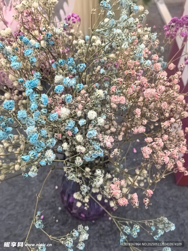 多彩满天星花束特写